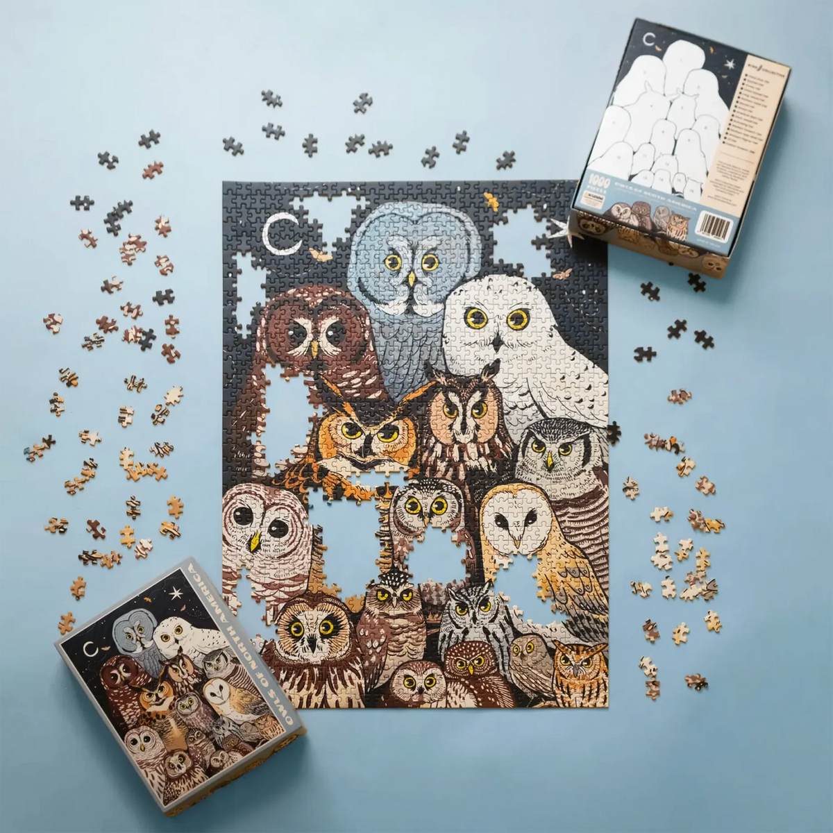 Bird Collective - Puzzle Owls Of North America