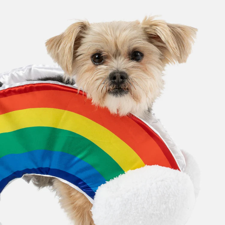Silver Paw - Rainbow Dog Costume