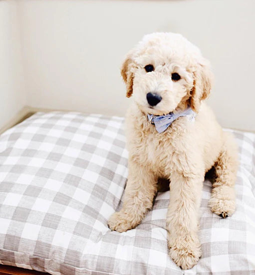 The Foggy Dog - Dog Bed Warm Stone Gingham