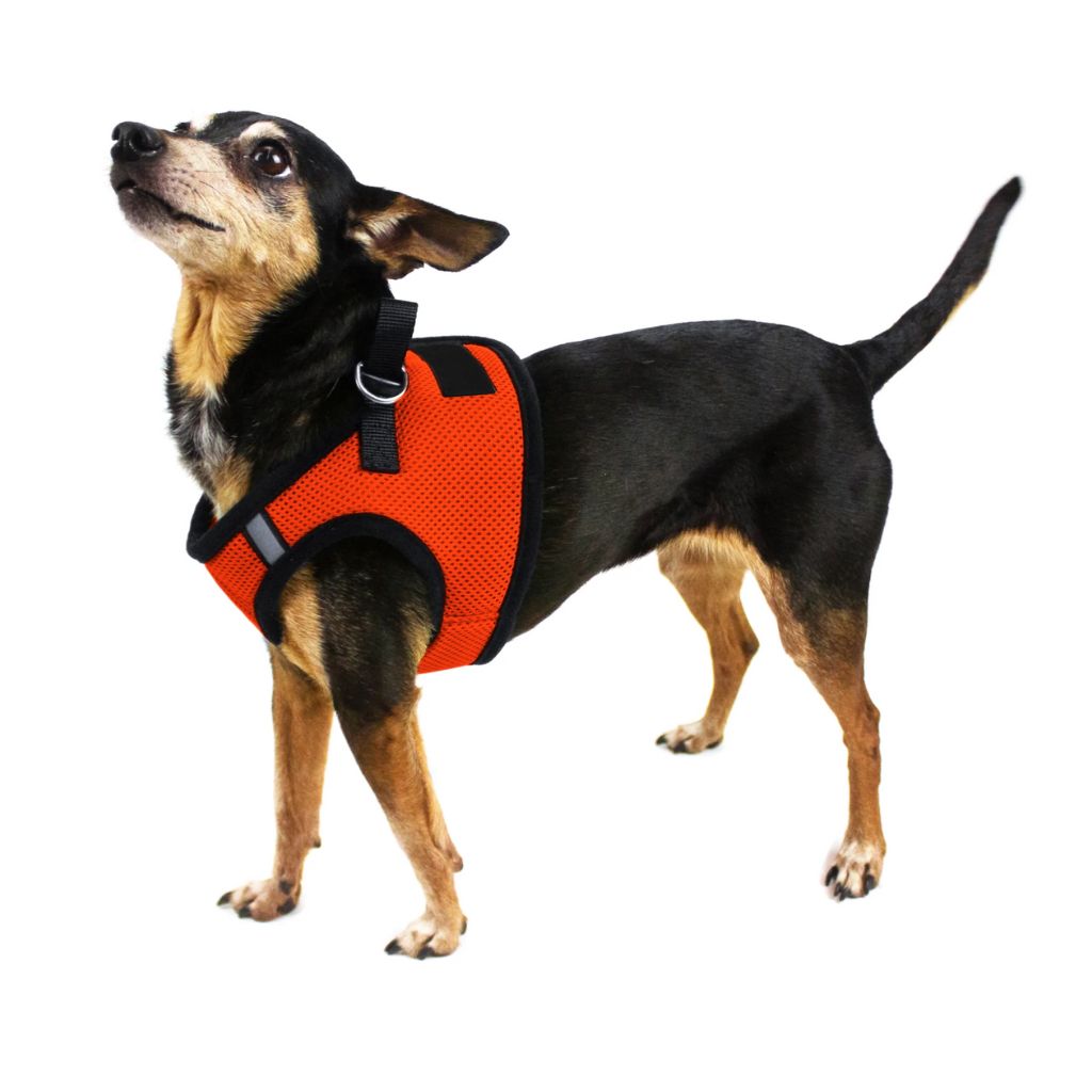Harness Nylon Mesh Small (Boston - With 2 Velcro Patches) - Southern Agriculture