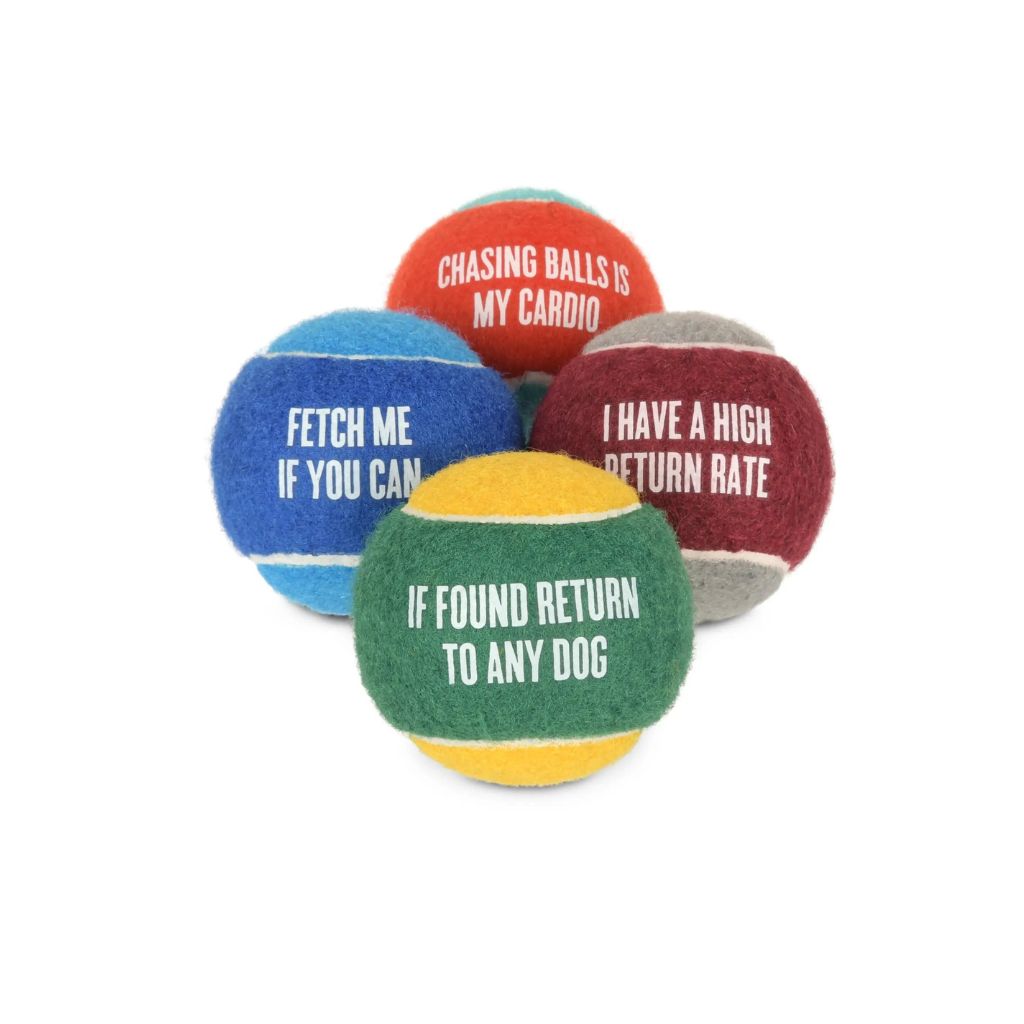 P.L.A.Y. - Dog Tennis Balls - Float & Squeak - 4 Phrases - Southern Agriculture
