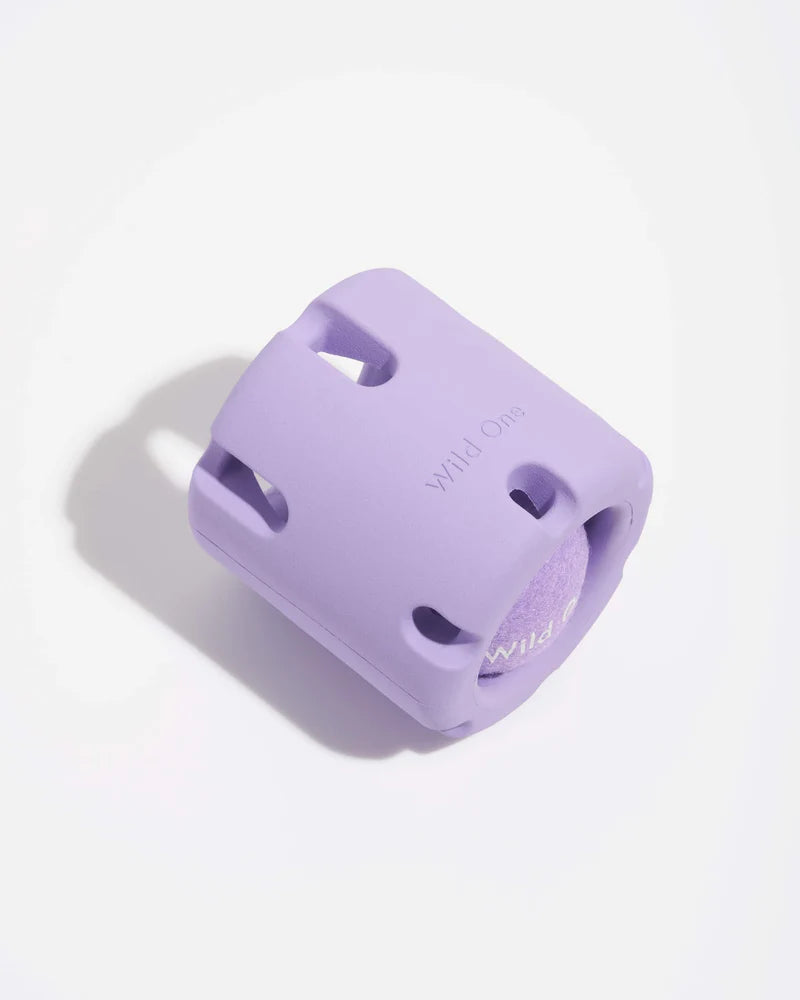 Wild One - Toy Tennis Tumbler
