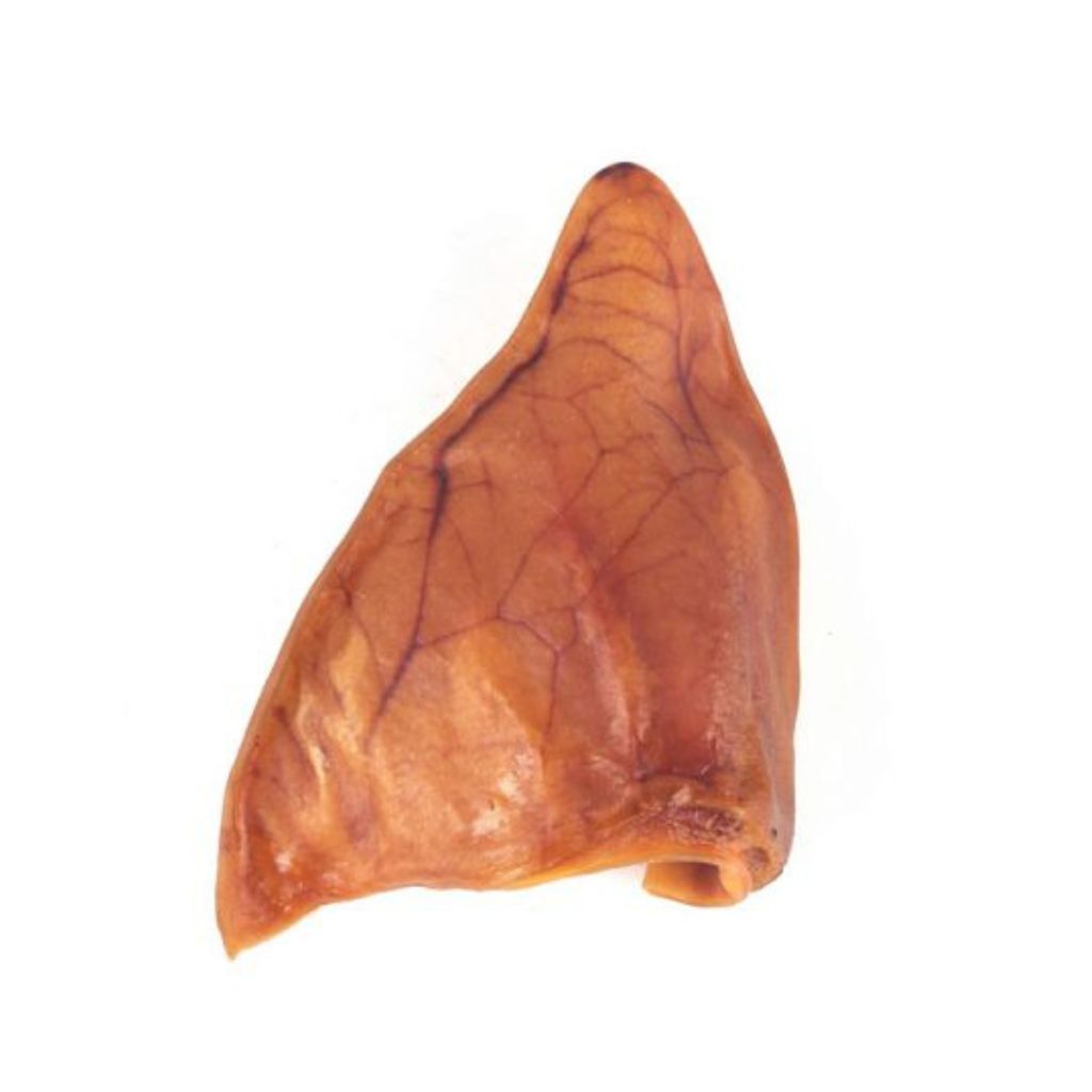 Pig Ear - Southern Agriculture