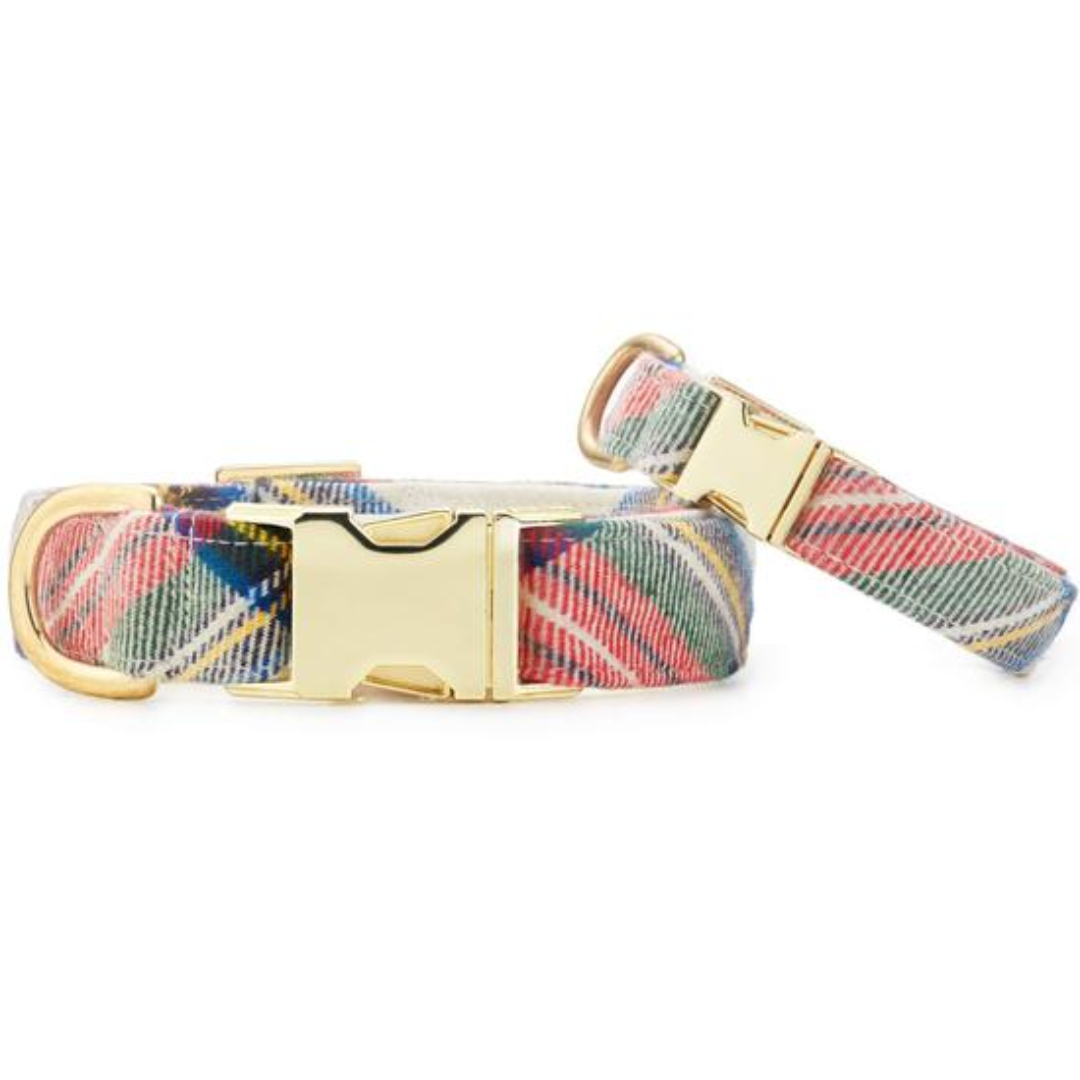 The Foggy Dog - Regent Plaid Collar