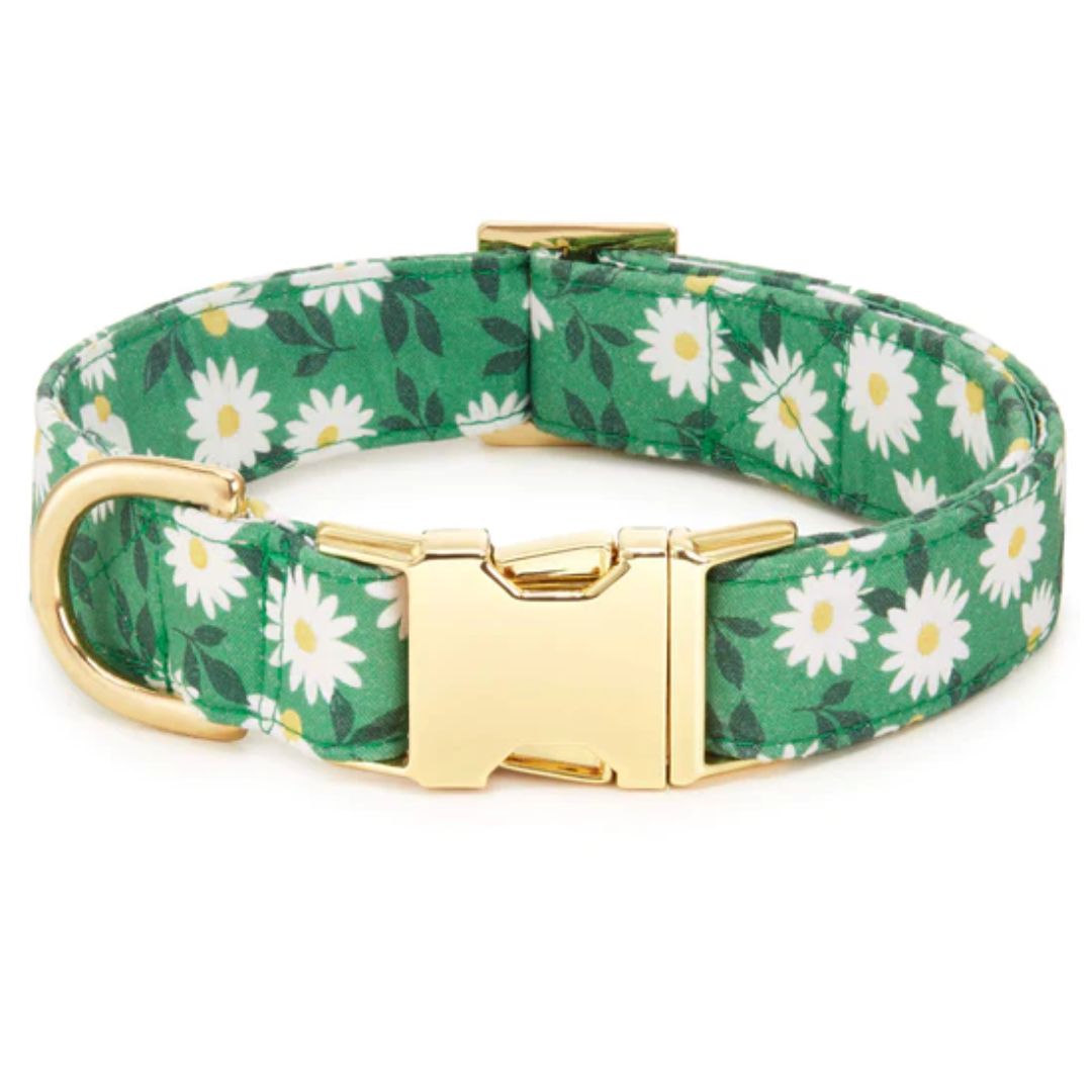 Foggy Dog - Dog Collar Coming Up Daisies - Southern Agriculture
