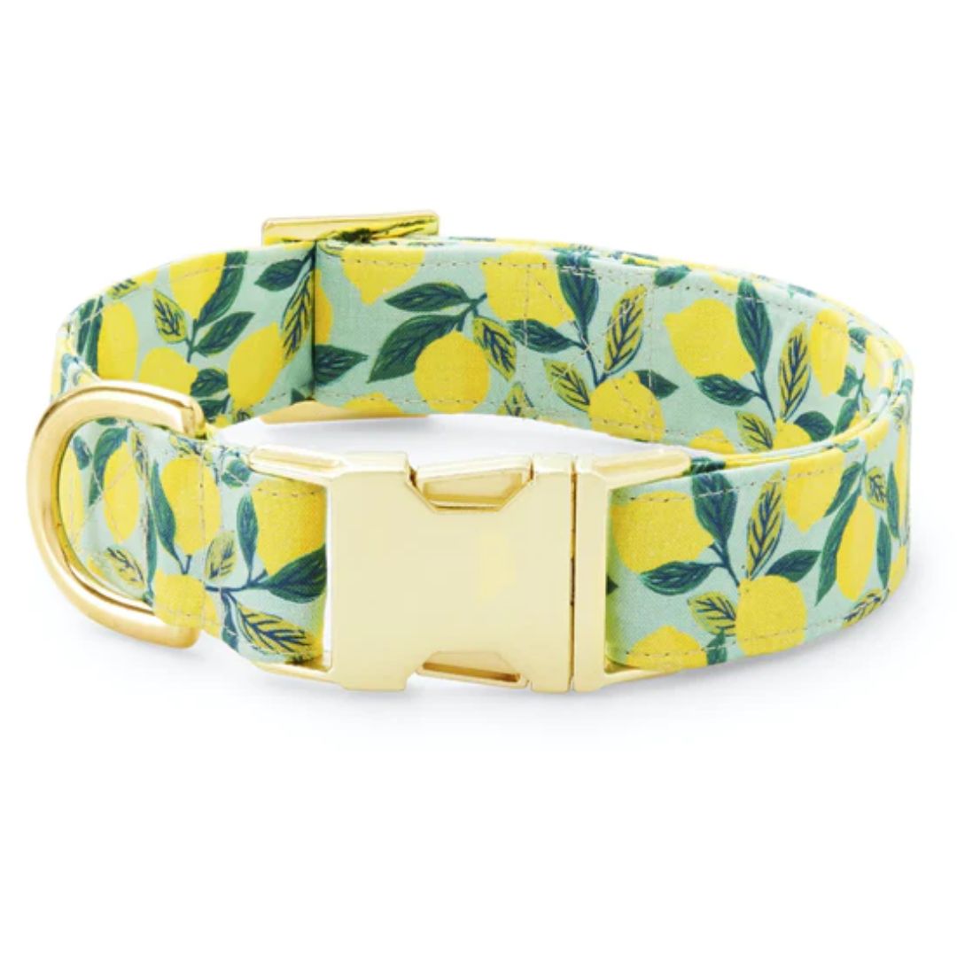 The Foggy Dog - Mint Lemon Zest Dog Collar