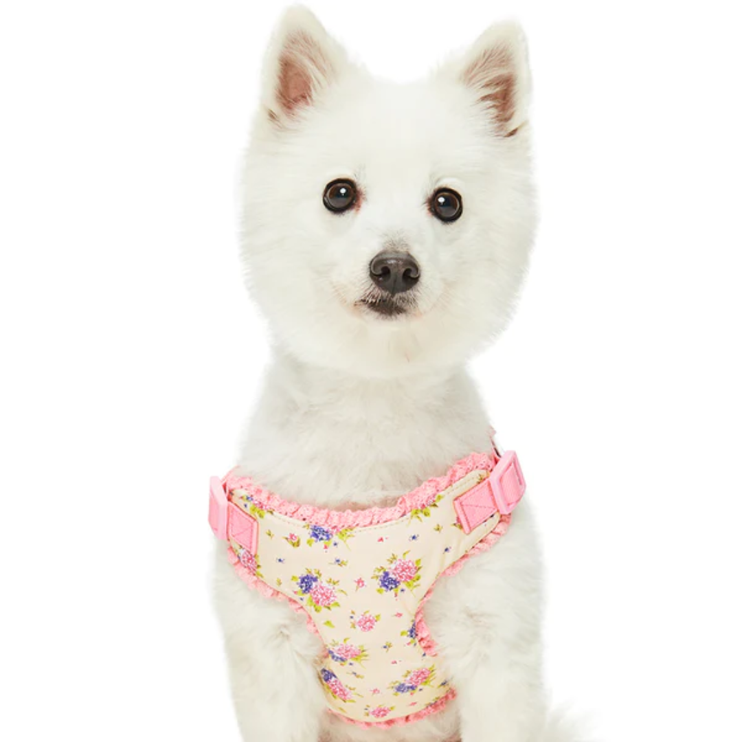 Blueberry Pet - Beige | Spring Balloon Flower Dog Harness - Southern Agriculture