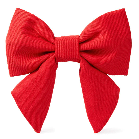 The Foggy Dog - Dog Bow Lady Ruby - Southern Agriculture