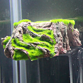 Penn-Plax - Aqua-Floras Tree Stump