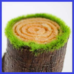 Penn-Plax - Aqua-Floras Tree Base