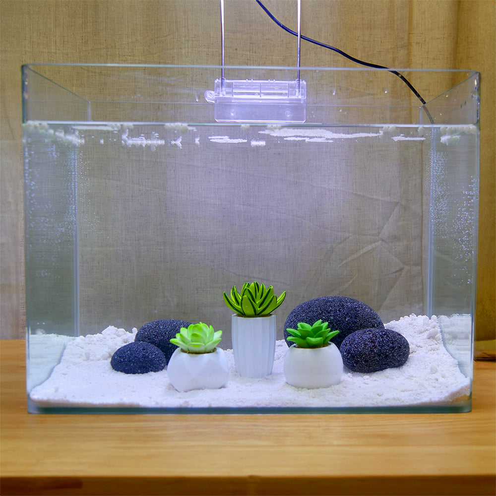 Penn-Plax - Succulent Plants In White Pots For Aquarium