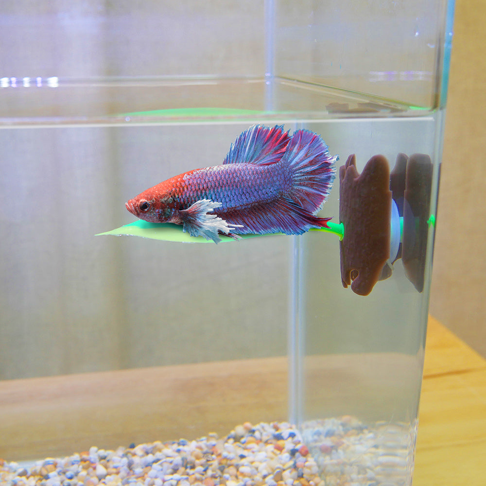 Penn-Plax - Lounging Leaf Betta Resting Decor With Suction Cup