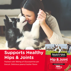 Nutri-Vet - Hip & Joint Regular Strength Peanut Butter Biscuits