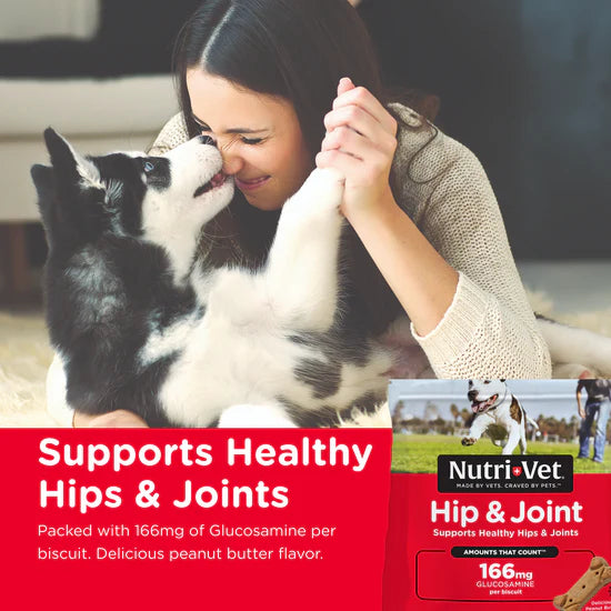 Nutri-Vet - Hip & Joint Regular Strength Peanut Butter Biscuits