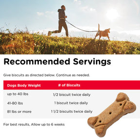 Nutri-Vet - Hip & Joint Regular Strength Peanut Butter Biscuits