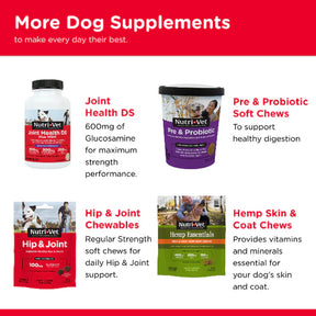 Nutri-Vet - Hip & Joint Regular Strength Peanut Butter Biscuits