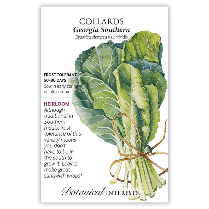 Botanical Interests, Inc. - Collards Georgia Southern