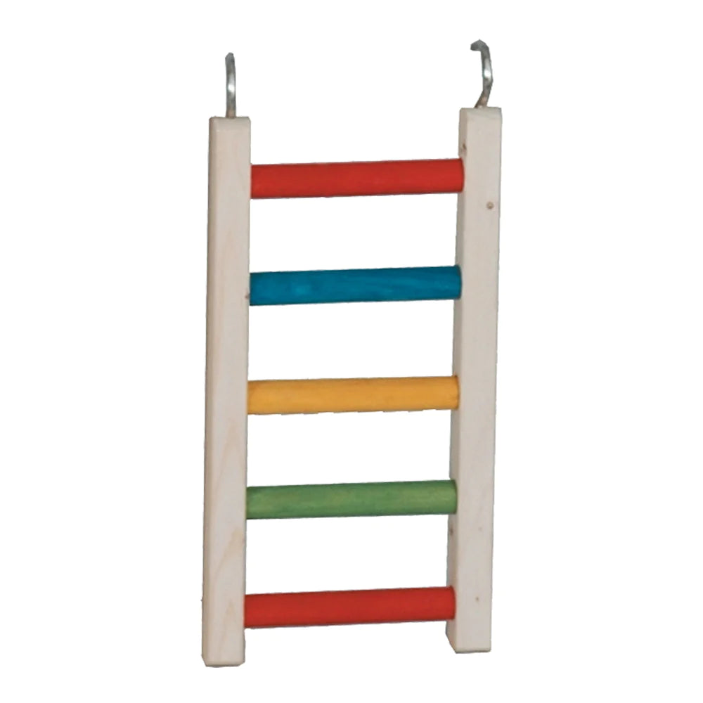 Caitec - Bird Ladder Parrot - Southern Agriculture 