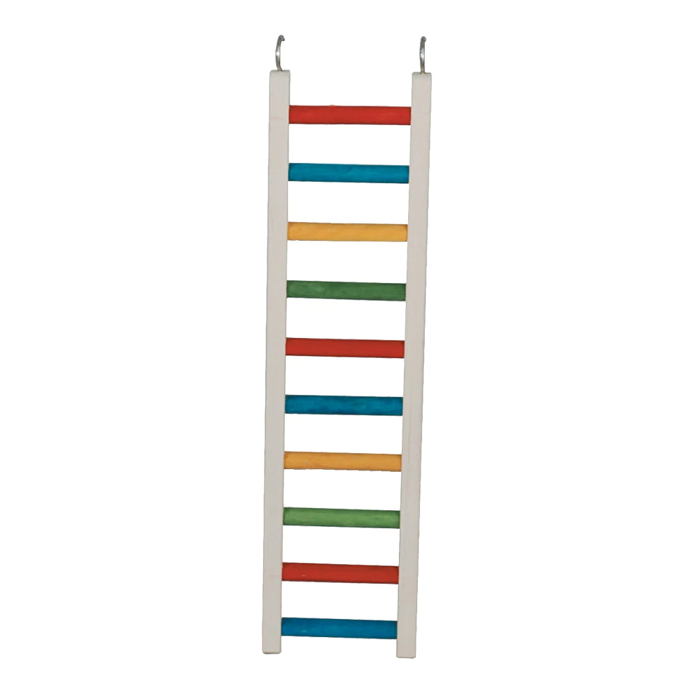 Caitec - Bird Ladder Parrot - Southern Agriculture 
