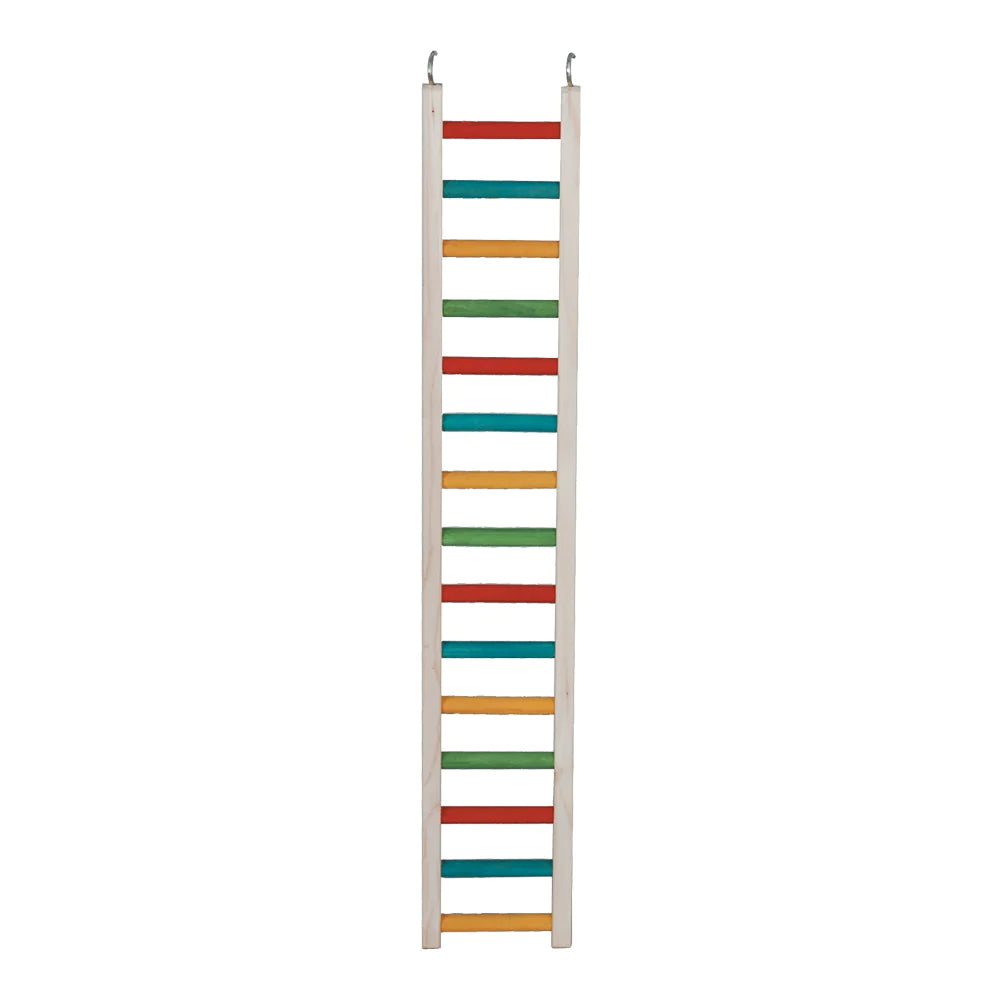 Caitec - Bird Ladder Parrot - Southern Agriculture 