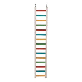 Caitec - Bird Ladder Parrot - Southern Agriculture 