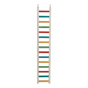 Caitec - Bird Ladder Parrot - Southern Agriculture 