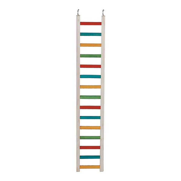 Caitec - Bird Ladder Parrot - Southern Agriculture 