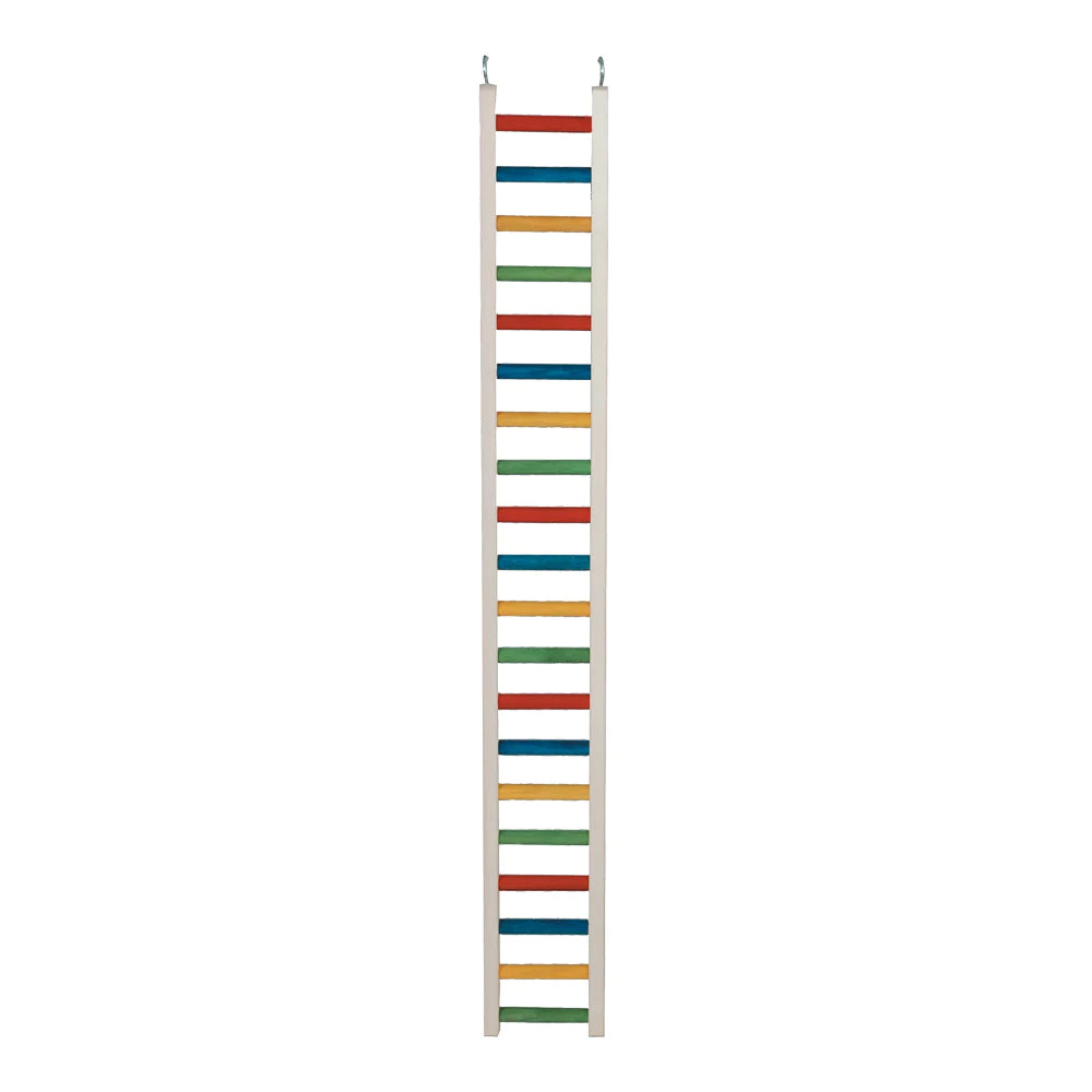 Caitec - Bird Ladder Parrot - Southern Agriculture 