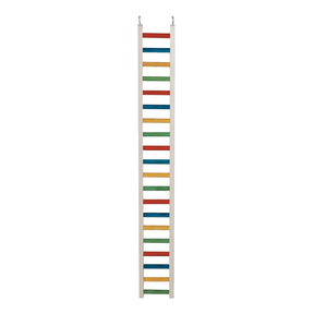 Caitec - Bird Ladder Parrot - Southern Agriculture 