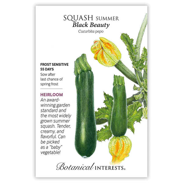 Squash Summer Black Beauty Seeds - Southern Agriculture 