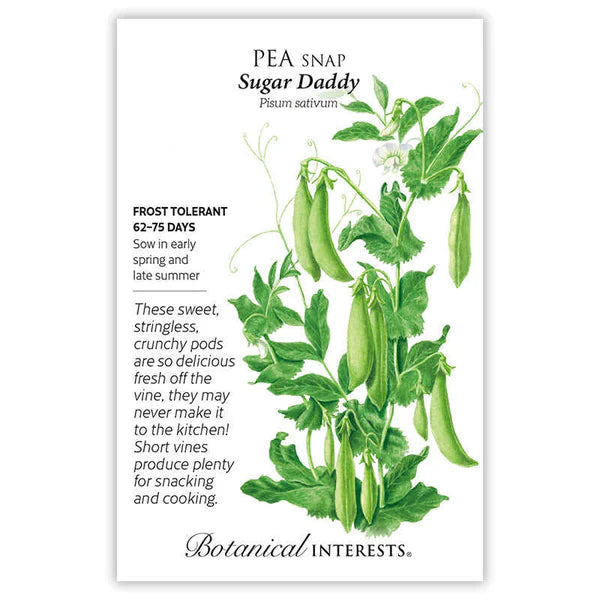 Botanical Interests, Inc. - Pea Snap Sugar Daddy Seeds