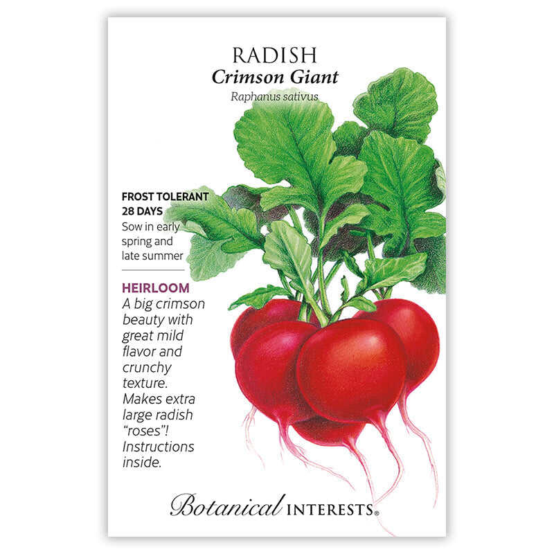 Botanical Interests, Inc. - Crimson Giant Radish Seeds