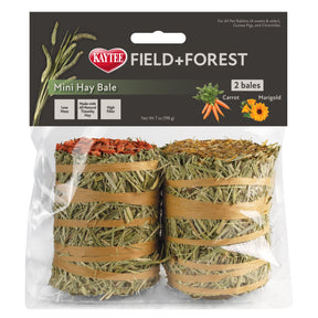 Kaylor of Colorado - Field + Forest Mini Hay Bales Carrot/Pot Marigold 2 Pack