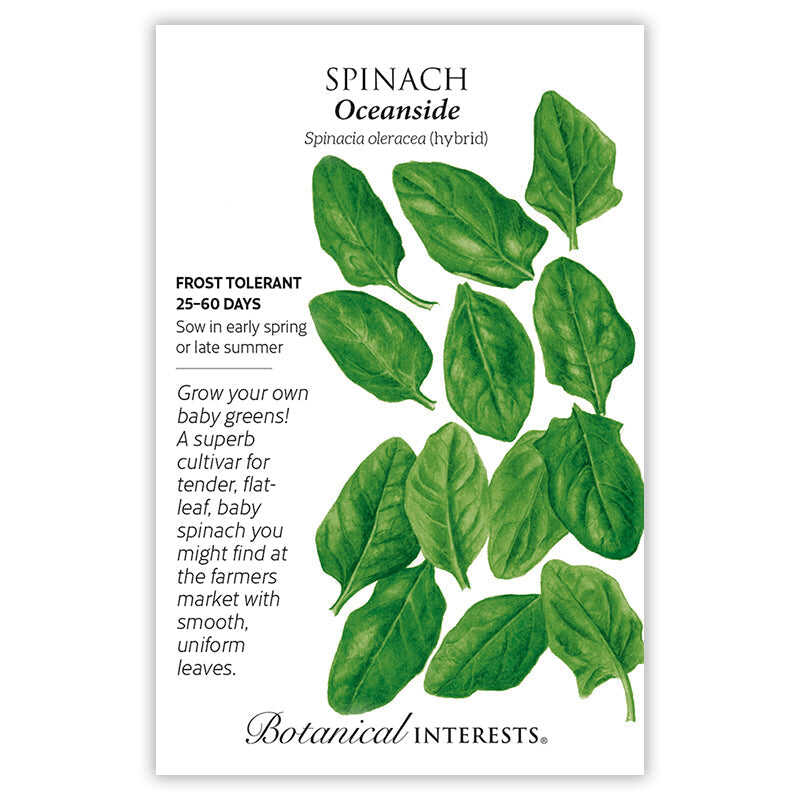 Botanical Interests, Inc. - Oceanside Spinach Seeds - Southern Agriculture 