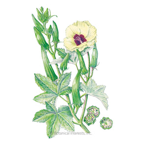 Botanical Interests, Inc. - Okra Clemson Spineless 80 Seeds