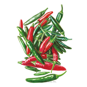 Pepper Chile Serrano Seeds - Southern Agriculture 