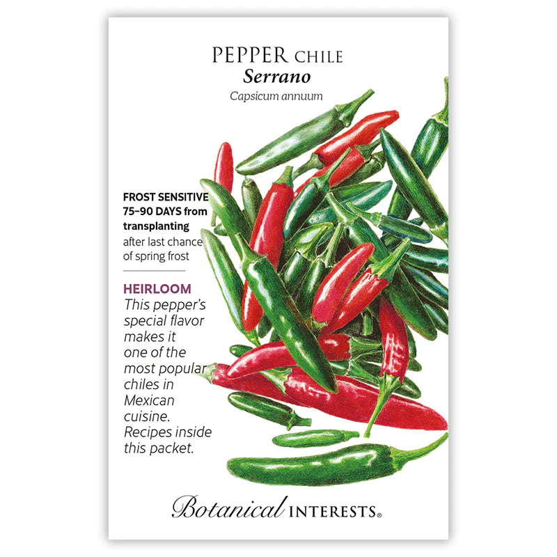 Pepper Chile Serrano Seeds - Southern Agriculture 