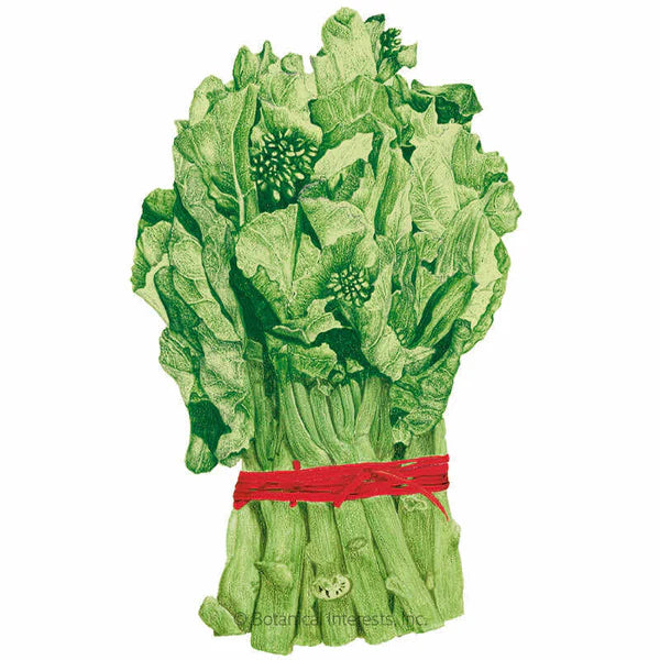 Botanical Interests, Inc. - Broccoli Chinese Kailaan Seeds