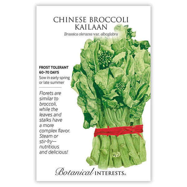 Botanical Interests, Inc. - Broccoli Chinese Kailaan Seeds