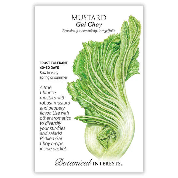 Botanical Interests, Inc. - Mustard Chinese Gei Choy Seeds