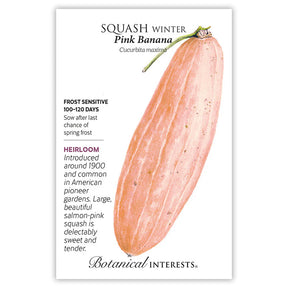 Botanical Interests, Inc. - Pink Banana Winter Squash Seeds