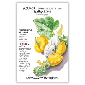 Squash Summer Scallop Blend Seeds - Southern Agriculture 
