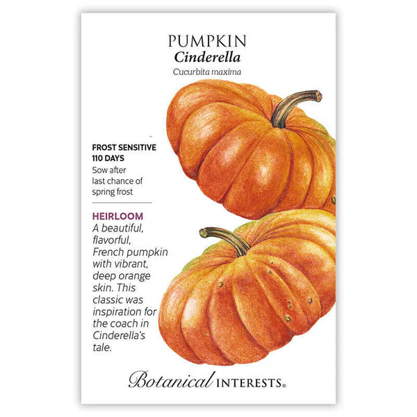 Botanical Interests, Inc. - Pumpkin French Cinderella Seeds