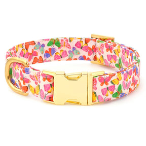 The Foggy Dog - Dog Collar Bright Butterflies