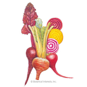 Botanical Interests, Inc. - Gourmet Blend Beet - Southern Agriculture 
