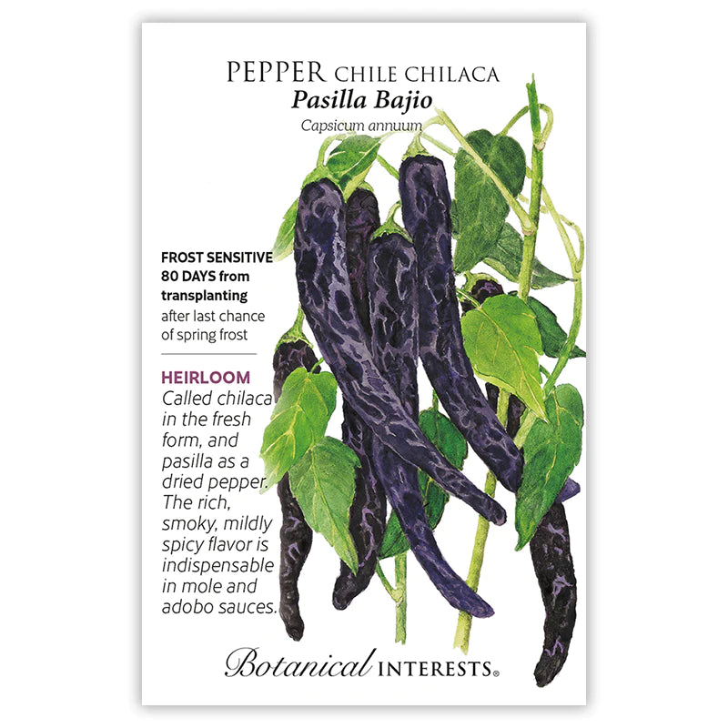 Botanical Interests, Inc. - Pasilla Bajio Chilaca Chile Pepper Seeds