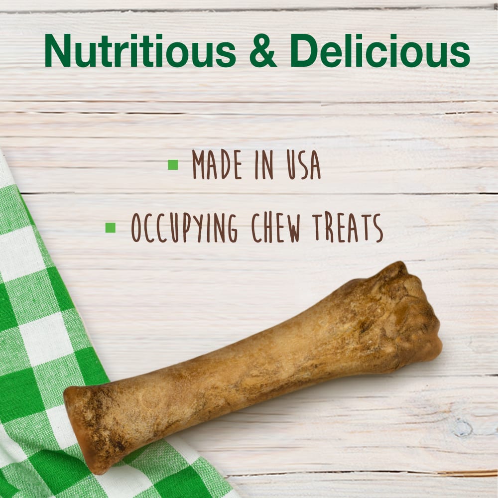 Nylabone - Healthy Edibles Roast Beef Flavor Bone Dog Treats Souper - Southern Agriculture 