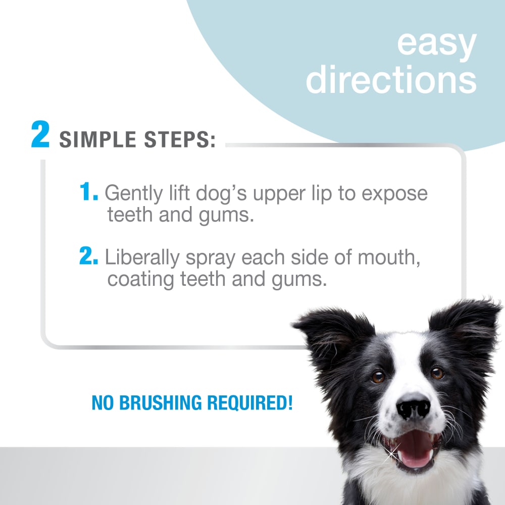Nylabone - Dental Spray Advanced Oral Care - Southern Agriculture 