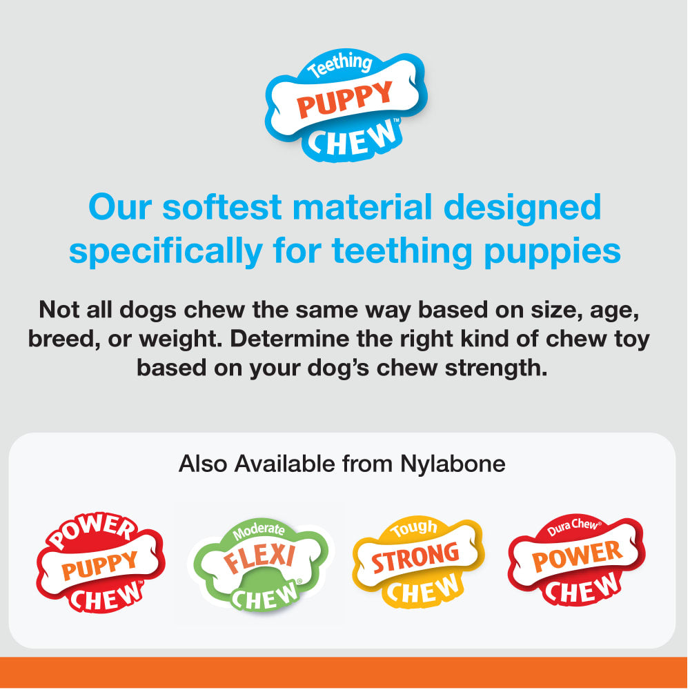Nylabone - Puppy Chew Bone Chicken