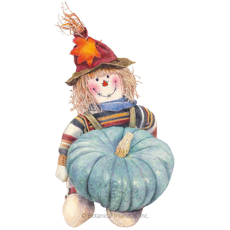 Botanical Interests, Inc. - Pumpkin Jarrahdale Seeds